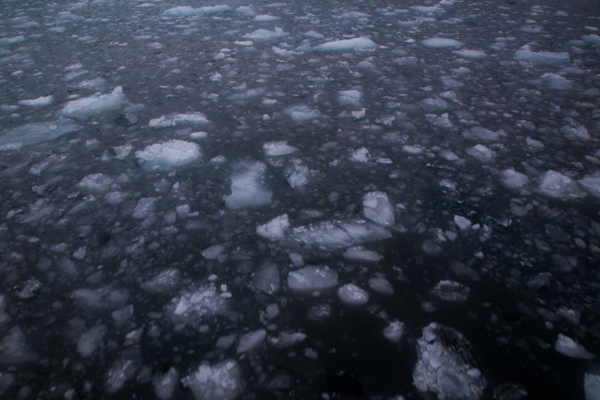 Iceberg Field